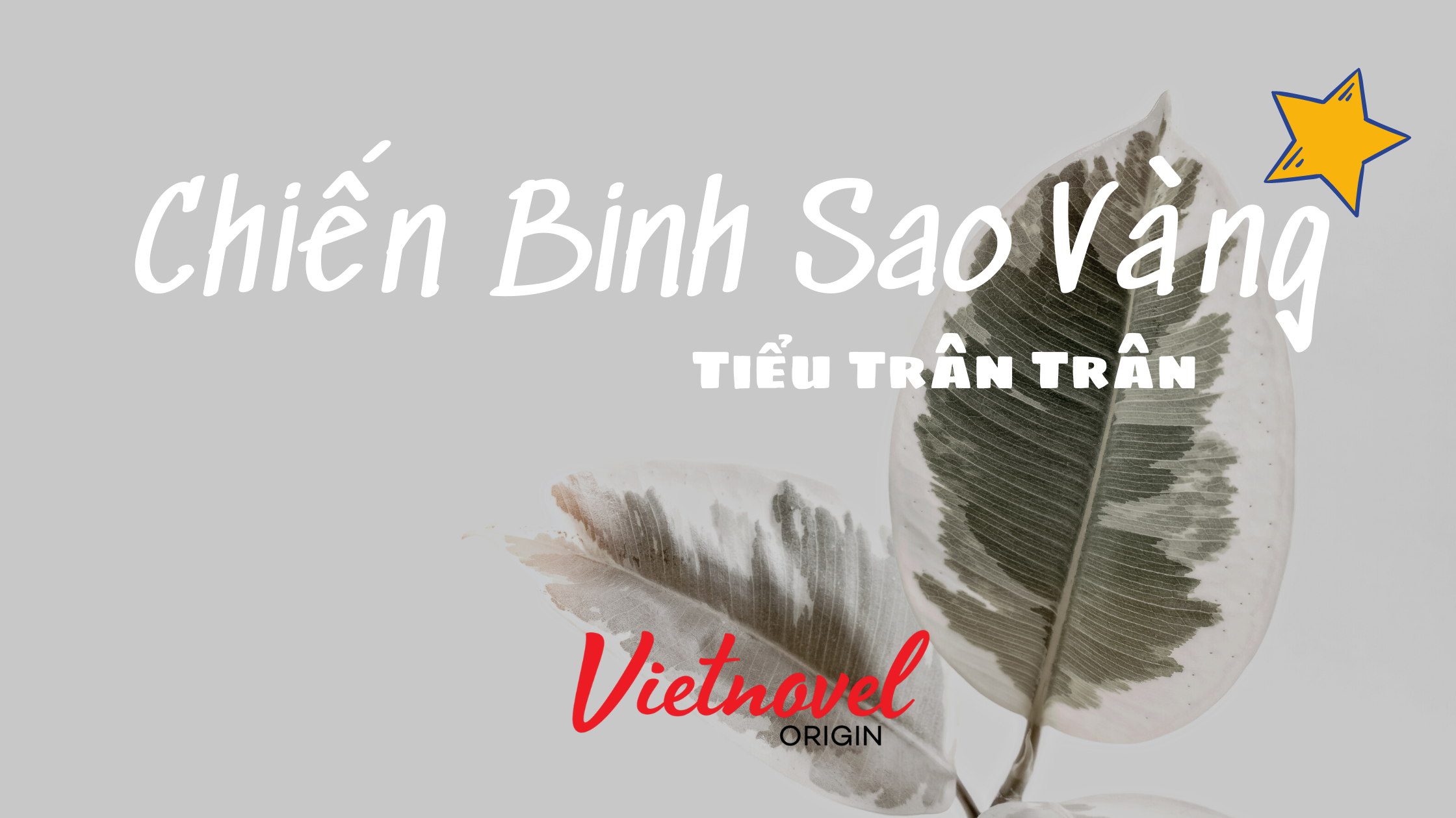 Review Truyện Sáng Tác Việt: CHIẾN BINH SAO VÀNG – Bộ truyện ngôn tình quân nhân đậm chất Việt